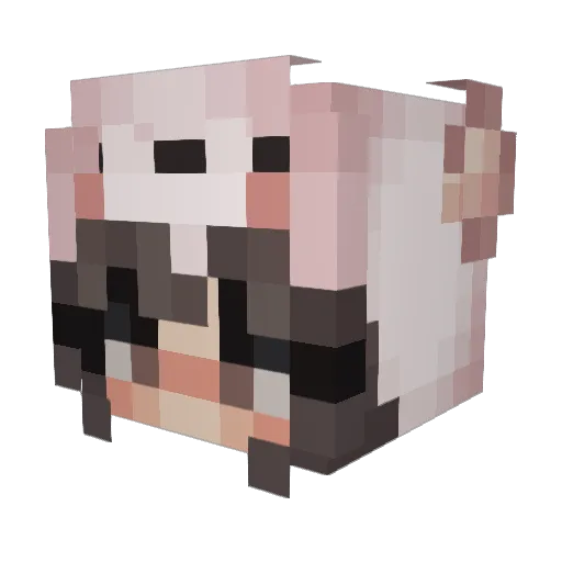 HanaBiXia Minecraft avatar head, 3D render