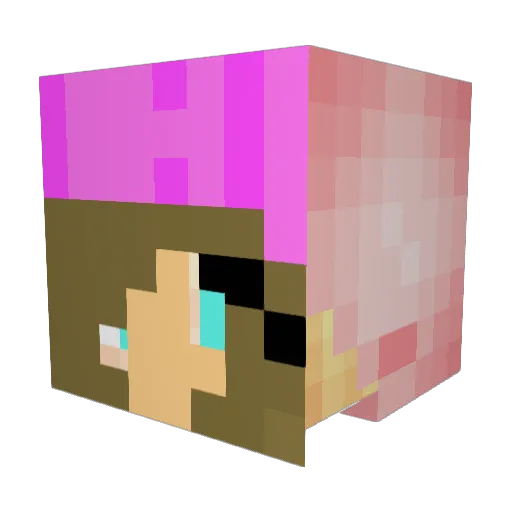 HanaDogLover Minecraft avatar head, 3D render