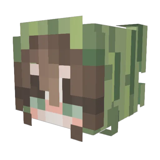 Hana_aa Minecraft avatar head, 3D render
