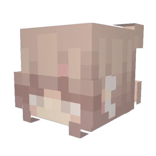 Hana_neko Minecraft avatar head, 3D render