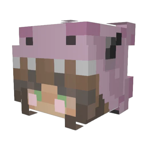 Hanabbgv3v Minecraft avatar head, 3D render