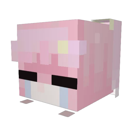 Hanagi_ Minecraft avatar head, 3D render