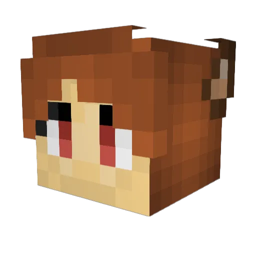 Hanako__ Minecraft avatar head, 3D render