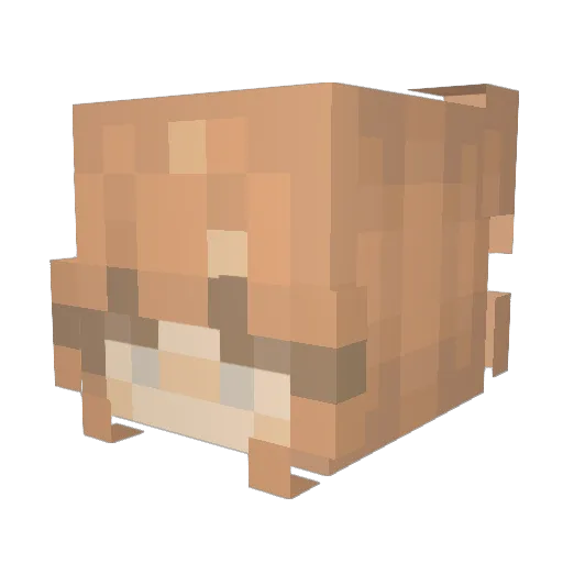 Hanananahx Minecraft avatar head, 3D render