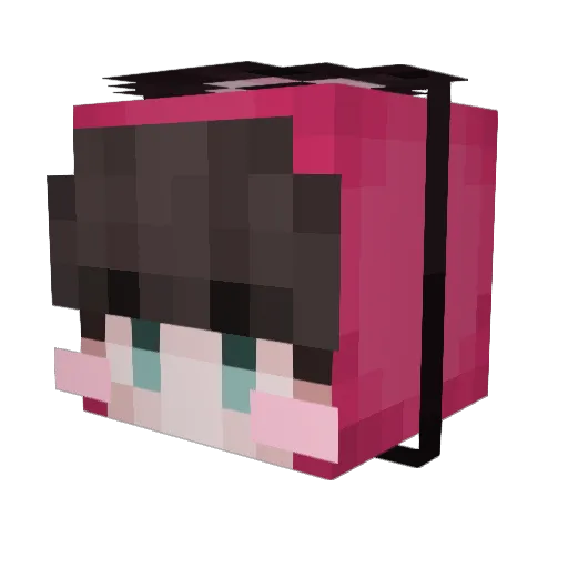 Hancho1577 Minecraft avatar head, 3D render