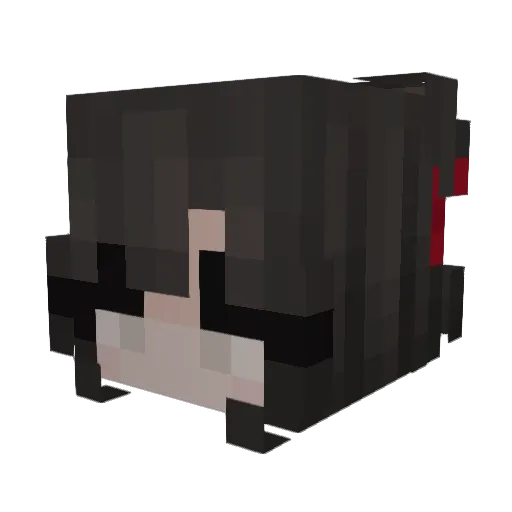 Handerok2525 Minecraft avatar head, 3D render