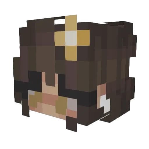 HandfulOfMonkeys Minecraft avatar head, 3D render