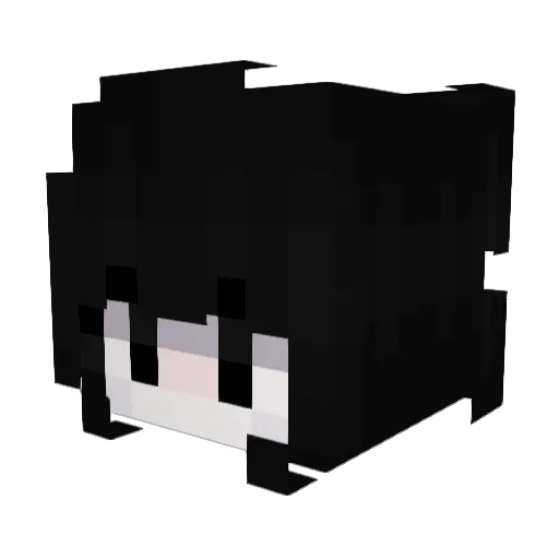 Handicap452 Minecraft avatar head, 3D render