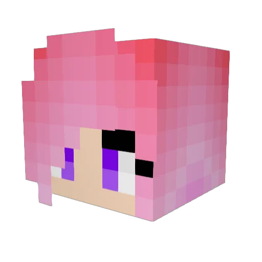 Handicap_Nova Minecraft avatar head, 3D render