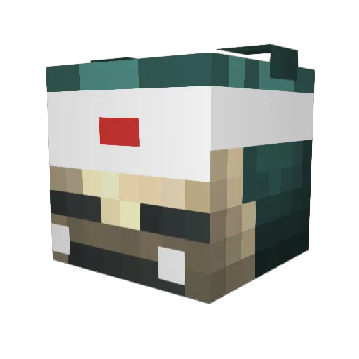 HandiclappedV2 Minecraft avatar head, 3D render
