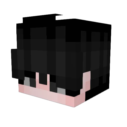 Handige_Harrie Minecraft avatar head, 3D render