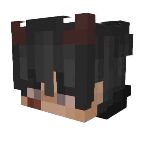 Handles Minecraft avatar head, 3D render