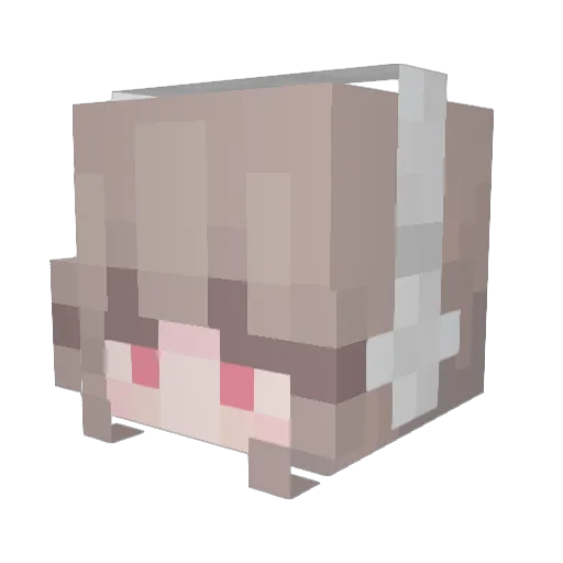 HandsomeCOLA Minecraft avatar head, 3D render