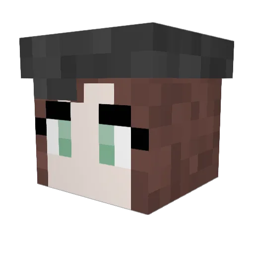 HandsomeEboy Minecraft avatar head, 3D render