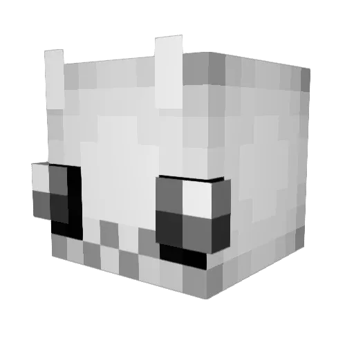 HandsomePaszne Minecraft avatar head, 3D render