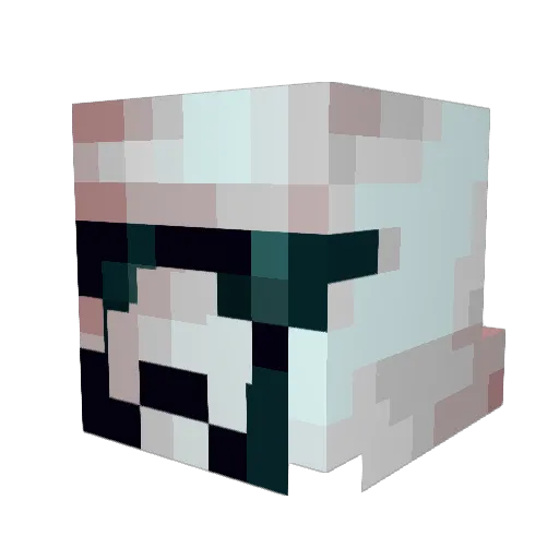 HandsomeShrek69 Minecraft avatar head, 3D render