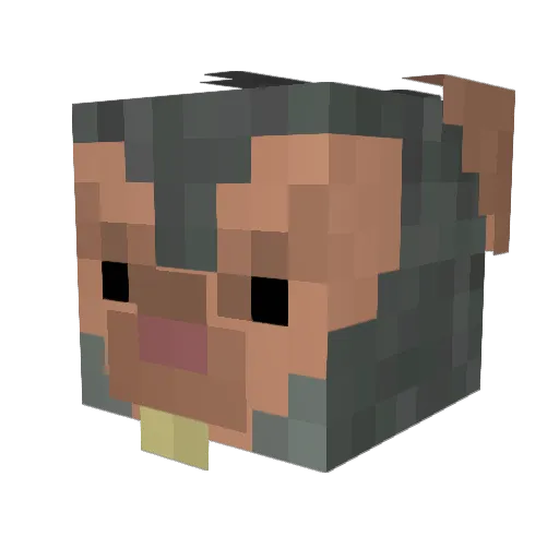 HandyDandyandy Minecraft avatar head, 3D render