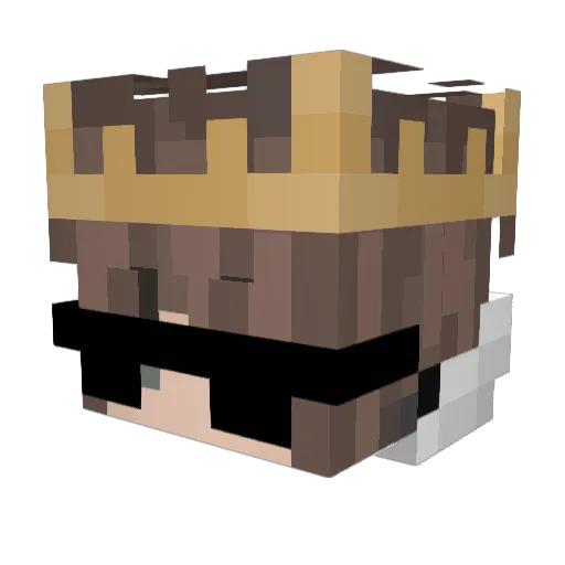 HandyamSteuer_ Minecraft avatar head, 3D render