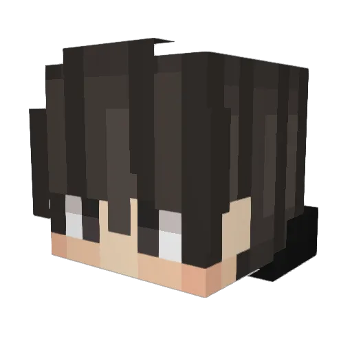 Hanell_0911 Minecraft avatar head, 3D render