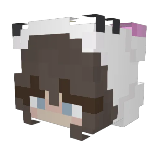 HanfMaster3000 Minecraft avatar head, 3D render
