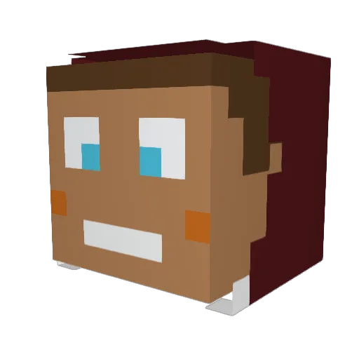 Hanfmasta Minecraft avatar head, 3D render