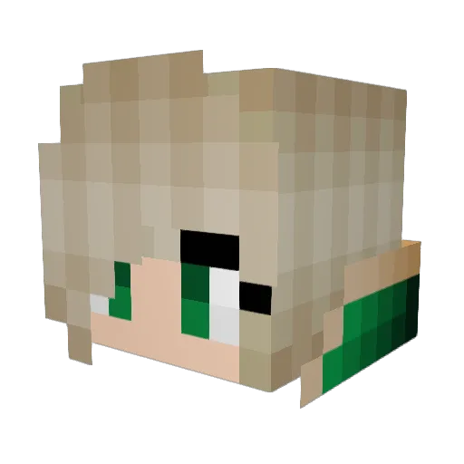 Hang000 Minecraft avatar head, 3D render