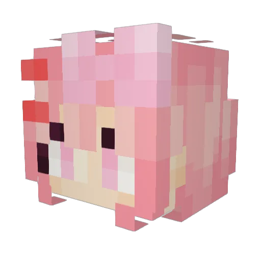 HangHang_25 Minecraft avatar head, 3D render
