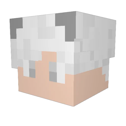 HangHei Minecraft avatar head, 3D render