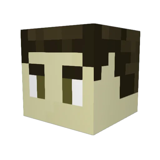 HanginWithCoop Minecraft avatar head, 3D render