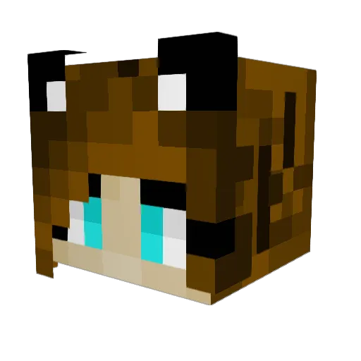 Hangnail_Hagman Minecraft avatar head, 3D render