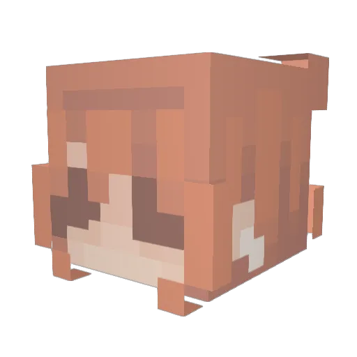 HangoverHahn Minecraft avatar head, 3D render