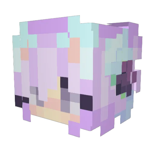Hanhan05 Minecraft avatar head, 3D render