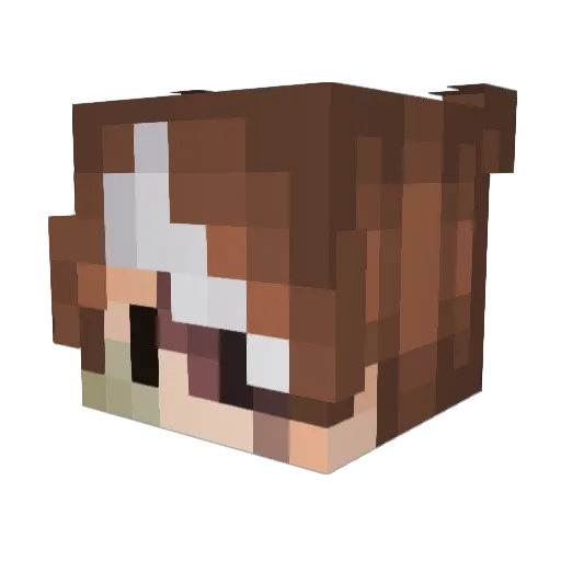 HaniBees Minecraft avatar head, 3D render