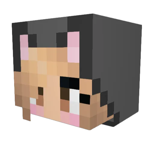 Hania1002 Minecraft avatar head, 3D render