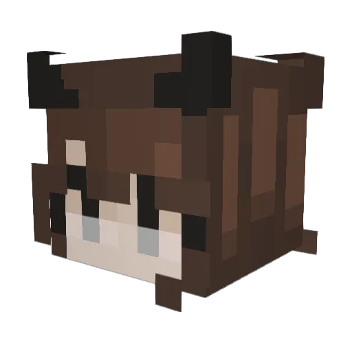 Hania3310 Minecraft avatar head, 3D render
