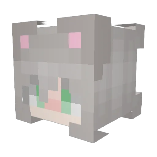 HaniaG15 Minecraft avatar head, 3D render