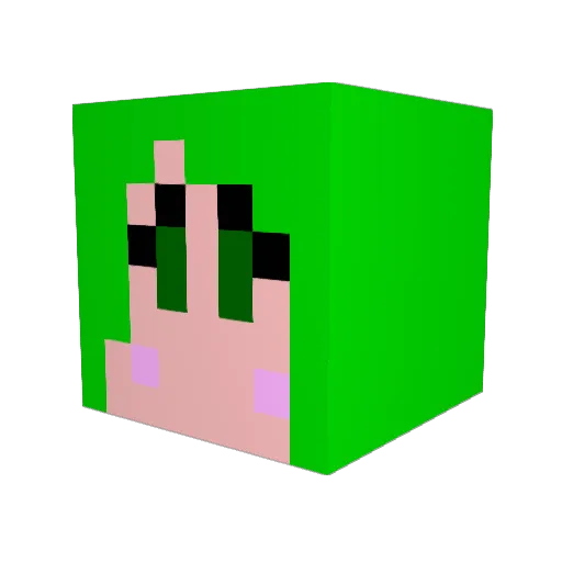 HaniaG2015 Minecraft avatar head, 3D render