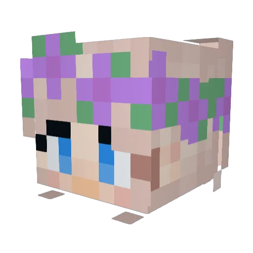 HaniaPopi Minecraft avatar head, 3D render