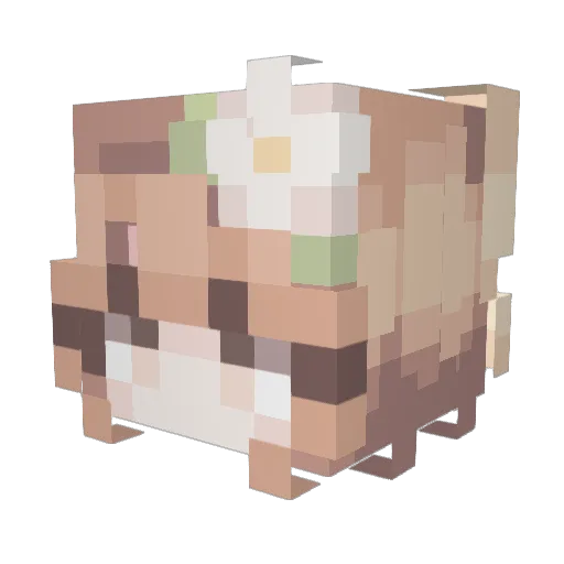 HaniaSzpic Minecraft avatar head, 3D render