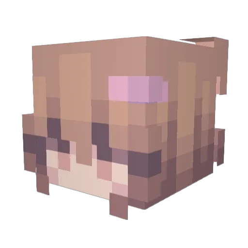 Hanicka133 Minecraft avatar head, 3D render