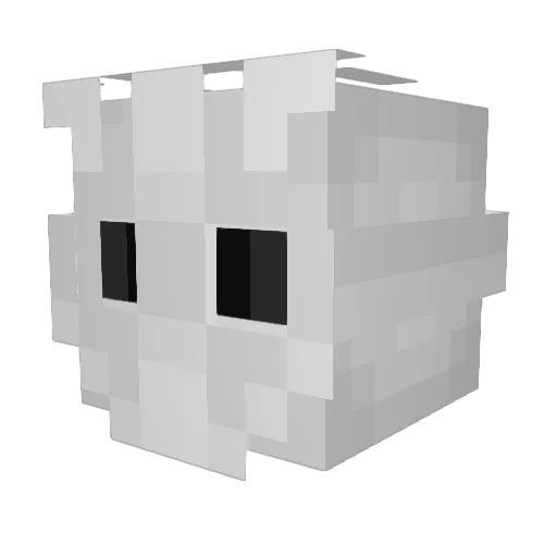 HanislawiQ Minecraft avatar head, 3D render