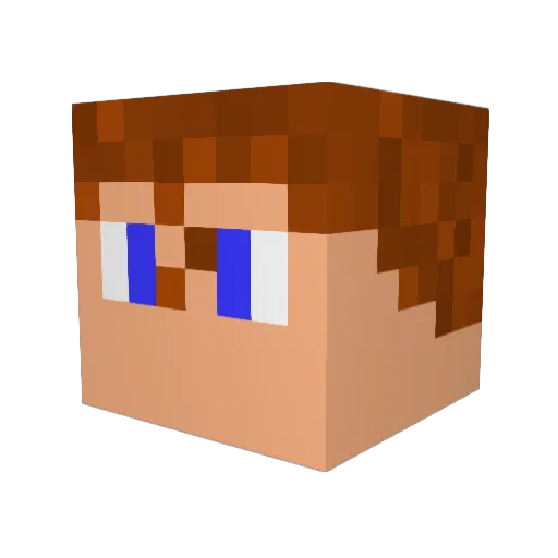 Hank03 Minecraft avatar head, 3D render