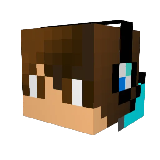 Hank101Hawk Minecraft avatar head, 3D render