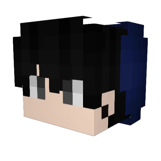 Hank294 Minecraft avatar head, 3D render