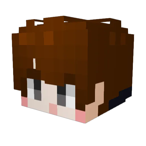 Hank3533 Minecraft avatar head, 3D render
