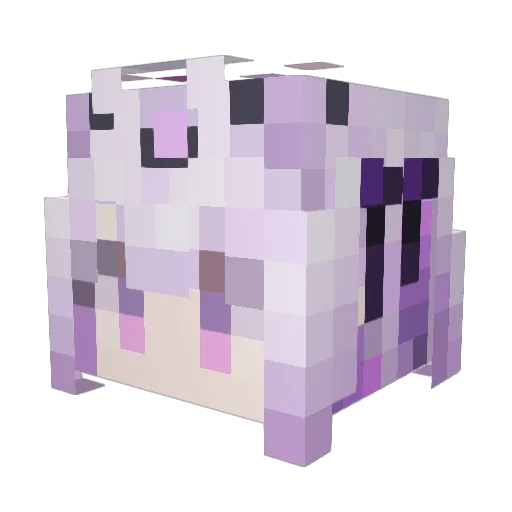 Hank4417 Minecraft avatar head, 3D render