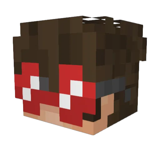 HankIsANerd Minecraft avatar head, 3D render
