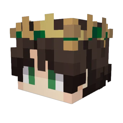 HankShvader Minecraft avatar head, 3D render