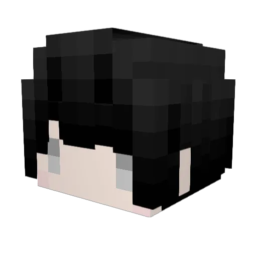 Hank_0616 Minecraft avatar head, 3D render
