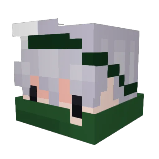 Hank_The_Dolphin Minecraft avatar head, 3D render